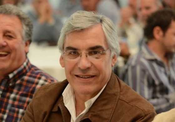  Alegre mostró las cartas del massismo para el debate en Diputados