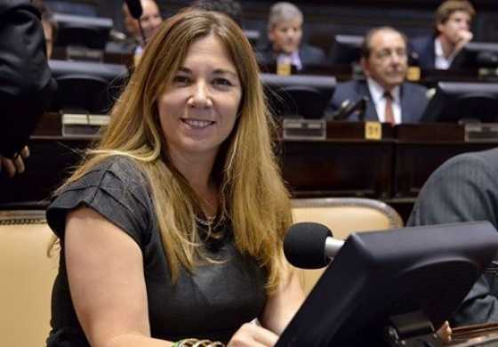 Zuccari quiere que sea obligatorio tener disyuntores en viviendas y comercios