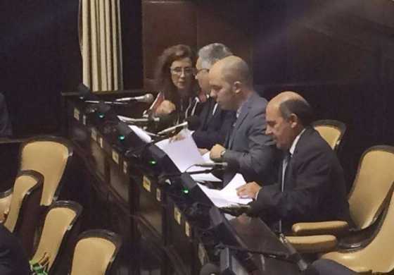 Avelino Zurro hace eje en las capacidades diferentes con una serie de proyectos en la Cámara Baja bonaerense