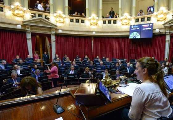 La Paridad de Género llega al Senado nacional 