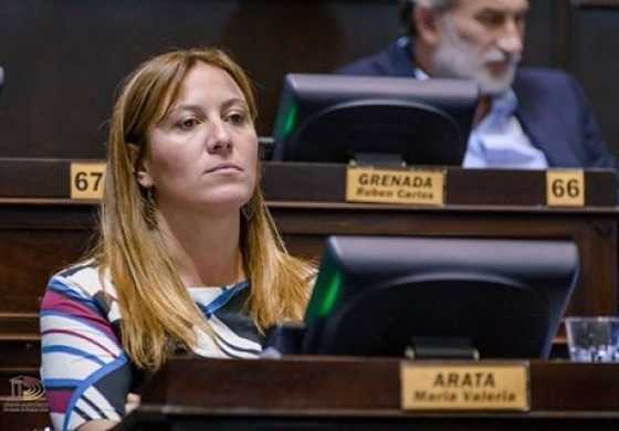 Arata exigió a Petrecca y sus funcionarios que se haga cargo de sus responsabilidades
