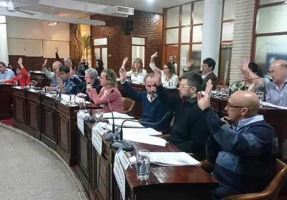  El HCD sentó las bases para la tenencia responsable de mascotas