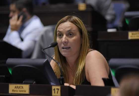 Arata se mete en el acercamiento de Massa con el peronismo: "El arco opositor debe unirse, si no, no hay futuro ni 2019"