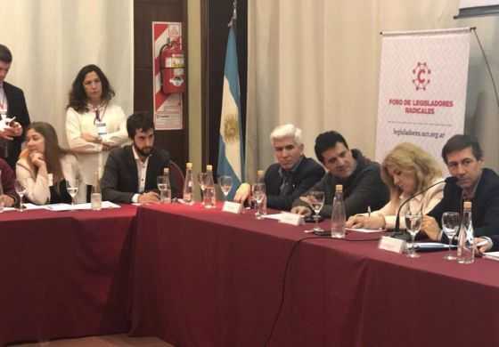 Legisladores radicales se unieron para buscar una salida a la crisis y apuntalar a Cambiemos