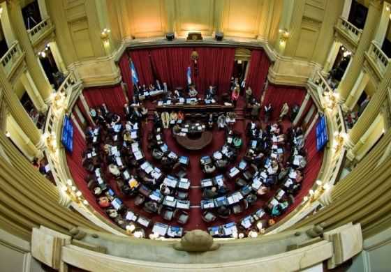 El Senado debate el Presupuesto nacional