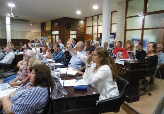  El Concejo definió el cronograma de trabajo
