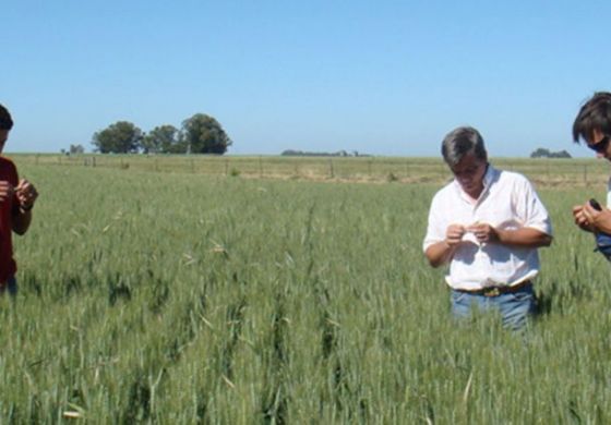 Se extendió el plazo para el Censo Agropecuario