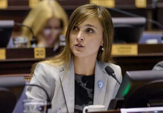  &ldquo;En este país solo están ganando las empresas de electricidad&rdquo;, disparó Giaccone