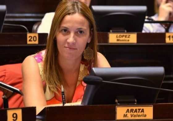 Para Arata, "cada vez hay más locales cerrados" en la región