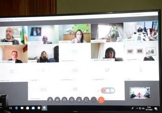 Con la Cuarta en la mesa chica, el Senado trabaja en un proyecto de plasma de equinos
