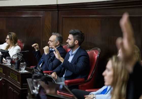 Con la modernización como eje, Fiorini va por la unidad de Ingresos Brutos y el monotributo