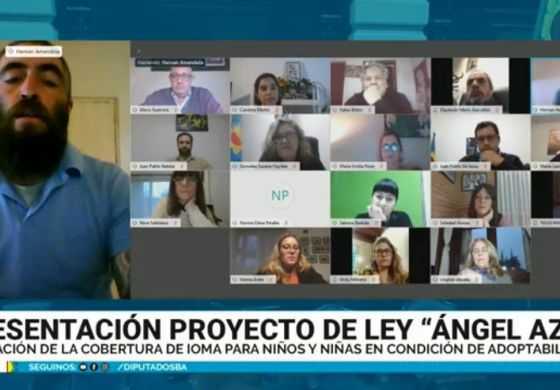 Diputados de la Cuarta respaldan proyecto para que niños en adopción tengan obra social 