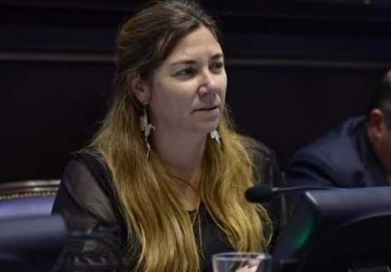 Una vez más, Zuccari arremetió contra Kicillof y aseguró que "opta por el camino de la confrontación"