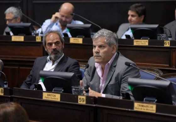 Con proyecto de ley propio, Britos encabeza la rosca para suspender las PASO en la Provincia
