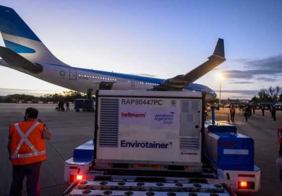 Otro vuelo y más vacunas