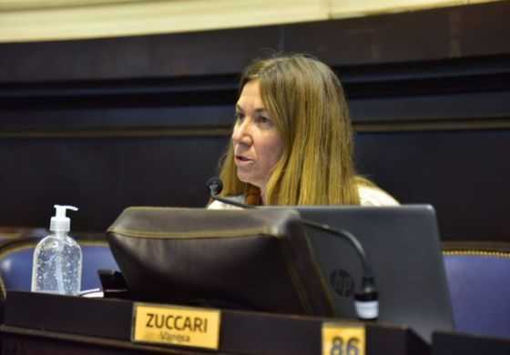 "Nuestra obligación es velar por el cumplimiento del derecho a la educación", subrayó Zuccari
