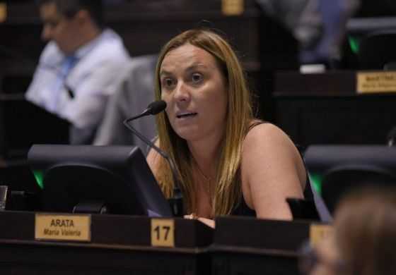 Arata respaldó el proyecto de Massa para condonar deudas a clubes, bomberos y mini Pymes 