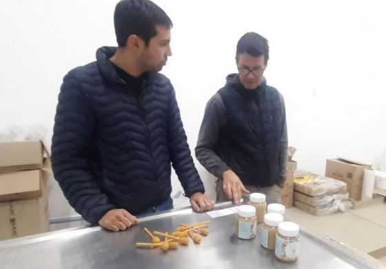 Miranda apuesta a la producción regional y potenciar la actividad apícola 