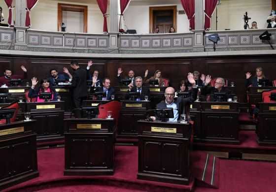 El Senado votó los integrantes de las Bicamerales y la Cuarta tiene protagonismo