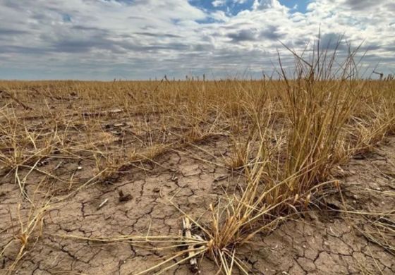 Provincia lanzó un programa de apoyo económico para arrendatarios rurales