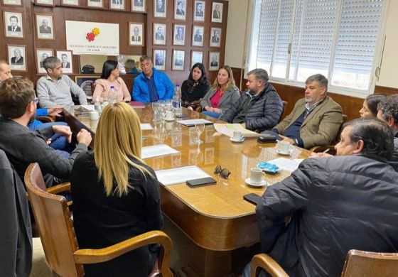  La oposición pide avanzar con un proyecto de acompañamiento a los comerciantes