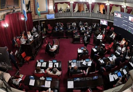 Dos senadoras por la Cuarta Sección juran hoy para reemplazar a intendentes electos