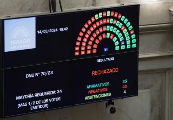 El Senado le bajó el pulgar al mega DNU: ¿Cuál fue la reacción de la Cuarta?