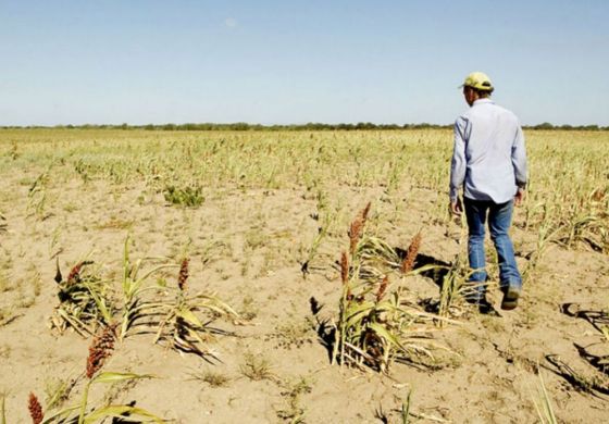 Reclamo en espera: Provincia pide que Nación homologue el estado de emergencia agropecuaria en 39 distritos 