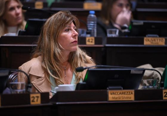 "¿Se habrán tomado el tiempo para leer el proyecto?": Vaccarezza cuestionó el rechazo a la emergencia para productores afectados por el temporal