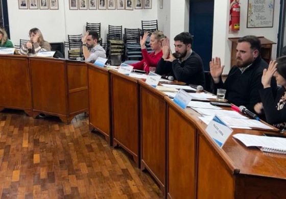  El Concejo aprobó la castración obligatoria de perros en todo el distrito