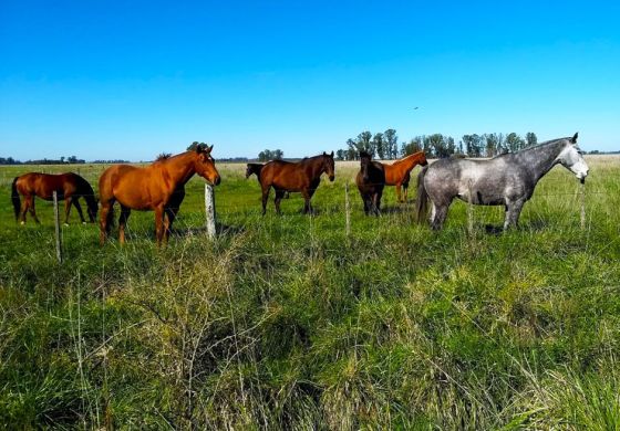 Con la Cuarta como horizonte, buscan fomentar el turismo rural en la Provincia