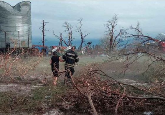 Avanza el proyecto que busca declarar la Emergencia o Desastre Agropecuario en tres distritos de la Cuarta