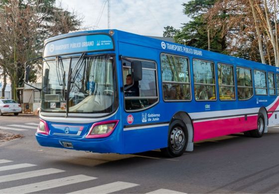  Un nuevo paro de colectivos deja sin transporte público a la comuna: Qué dijo el Municipio