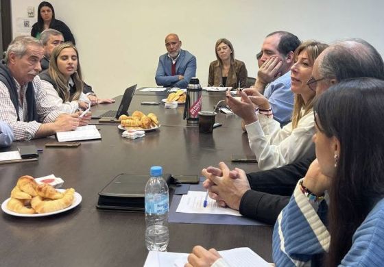 Con presencia de la Cuarta, la Legislatura recibió a la Mesa de Enlace Bonaerense 