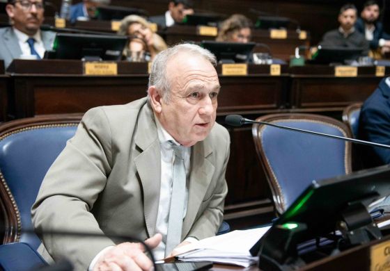 Libertario "dialoguista" de la Cuarta calificó de "imprudente" la sanción de la boleta única