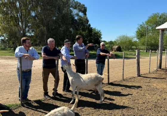 Tercera vía en construcción: Rodríguez Larreta desembarcó en la Provincia escoltado por Emilio Monzó