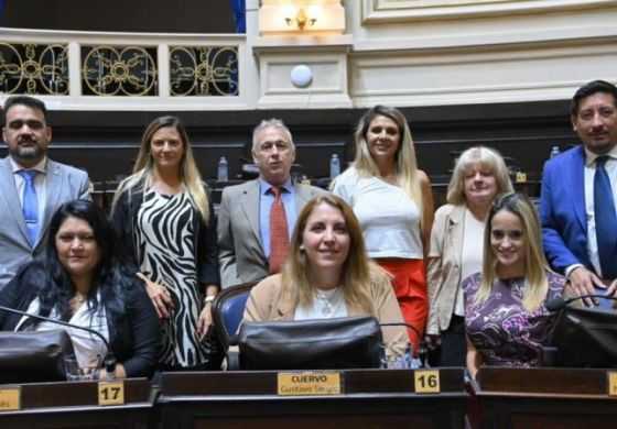 Con firma de la Cuarta, un bloque de Diputados apuesta por el desdoblamiento de las elecciones