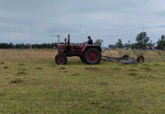 Como Milei no dio respuesta, un intendente cortó el pasto en las rotondas de una Ruta Nacional