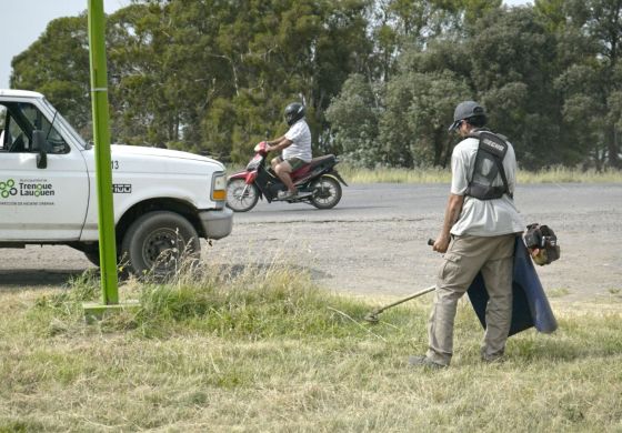 Por el abandono libertario, un intendente radical mandó a cortar el pasto en las rutas nacionales