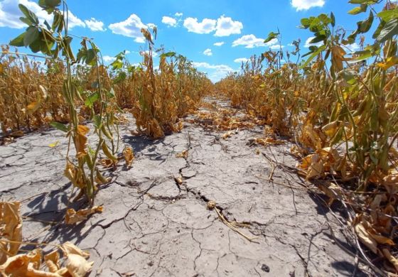 Un municipio tendió puentes con el campo y le elevaron un pedido a Axel Kicillof