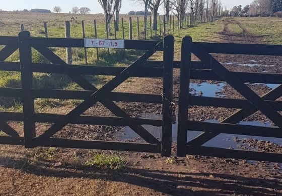  Seguridad rural: el Municipio pide que los productores declaren sus tranqueras