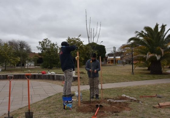 Los motivos que llevaron a un Municipio de la Cuarta a quedar entre los primeros 15 de un ranking internacional