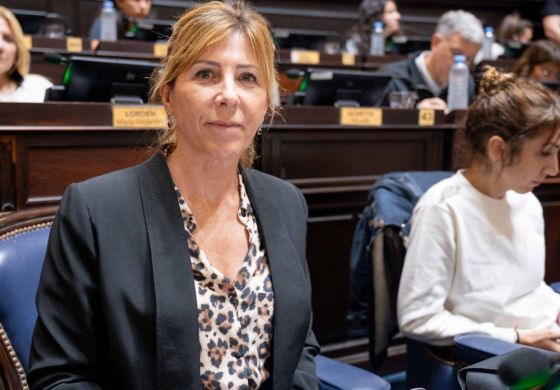 La oposición busca evitar aumentos en Ingresos Brutos en la Provincia