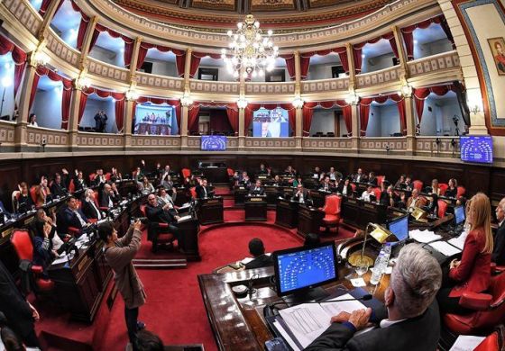 Reelección indefinida en PBA: el Senado dio media sanción con desempate de Magario