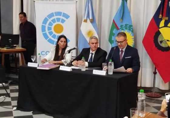  Cuál es el desafío del peronismo en el Concejo: los detalles del rumbo político