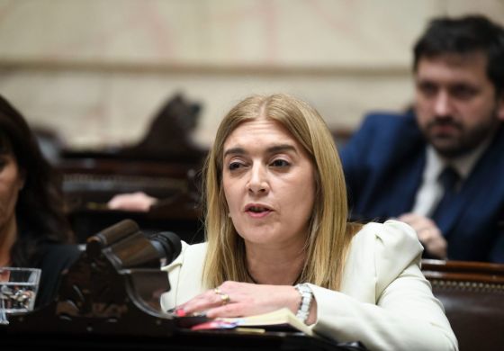 "Corrupto, soberbio e insensible": las duras críticas de una diputada de la Cuarta a Milei
