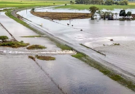  UxP activa un dardo contra Nación por la emergencia "cajoneada" 