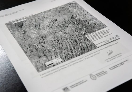 Con el 80% de la producción en riesgo, distrito de la Cuarta pide la emergencia agropecuaria a la Provincia