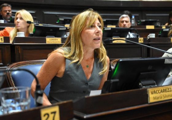 "La plata está, pero la ponen en plazo fijo": el dardo de una diputada de la Cuarta contra Milei por la parálisis de las obras del Salado