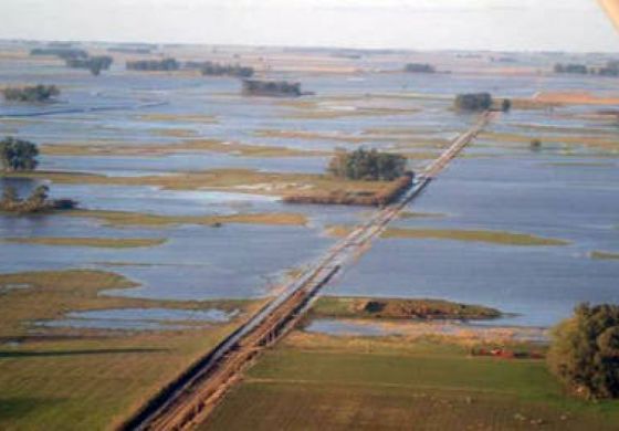 Tras meses de presión, Nación oficializó la emergencia agropecuaria en distritos de la Cuarta